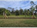 Spacious lot with newly planted palm trees and grassy areas at 1123 Happy Forest Loop, Deland, FL 32720