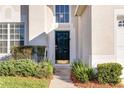 Dark-colored front door with well-maintained landscaping at 2249 Wyndham Palms Way, Kissimmee, FL 34747