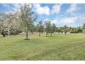 Large grassy yard with mature trees at 2616 Santosh Cv, Kissimmee, FL 34746