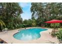 Enjoy this kidney shaped pool with a red umbrella at 602 Iris St, Altamonte Springs, FL 32714