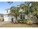 Two-story house with white exterior, landscaping, and palm trees at 2041 Brillante Dr, St Cloud, FL 34771