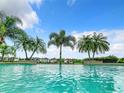 Refreshing pool with palm trees and clear water, overlooking a beautiful landscape at 395 Muirfield Loop, Reunion, FL 34747