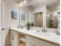 Double vanity bathroom with modern finishes at 4731 Clock Tower Dr # 203, Kissimmee, FL 34746