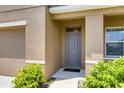 Gray front door with sidelights, landscaping, and walkway at 3814 Royal Azalea Way, Sanford, FL 32773