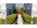 Pathway between two townhouses, featuring manicured hedges at 6416 S Goldenrod Rd # 8B, Orlando, FL 32822