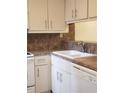 Kitchen features white cabinets and a double sink at 257 Scottsdale Sq # 257, Winter Park, FL 32792