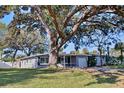 House with large oak tree, screened porch, and attached garage at 1246 Margina Ave, Daytona Beach, FL 32114