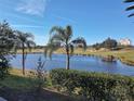 Serene lakefront view with palm trees at 1400 Titian Ct, Reunion, FL 34747