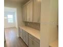 Spacious pantry with ample cabinet and countertop space at 5067 Northern Dove Ave, Mount Dora, FL 32757