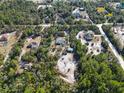 Aerial view showing a house nestled in a wooded area with neighboring homes visible at 3290 Red Fox Dr, Deltona, FL 32725