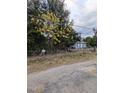 Small house on a lot with overgrown trees and needs significant work at 620 Cochran Rd, Geneva, FL 32732