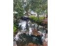 Private canal access with lush vegetation at 5416 Parkway Dr, Belle Isle, FL 32809