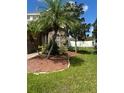 Landscaped front yard with palm trees and mulch beds at 14324 Fieldstone Lake Way, Orlando, FL 32824