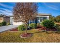 Curb appeal with a tree and well-manicured lawn in front of a light blue house at 8134 Sw 78Th Terrace Rd, Ocala, FL 34476