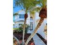 Front entrance with a double door and a walkway framed by palm trees at 9657 Pacific Pines Ct, Orlando, FL 32832