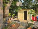 Backyard with shed, basketball hoop, and various plants at 6254 Balboa Dr, Orlando, FL 32808