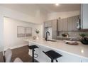 Modern kitchen with gray cabinets, quartz countertops, and stainless steel appliances at 2524 Parsons Pond Cir, Kissimmee, FL 34743