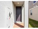 Close-up of the front door, showing the entry and the outdoor meter at 4329 Switchgrass Ln, St Cloud, FL 34772