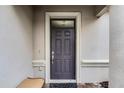 Dark gray front door with a glass panel and a small mat at 1498 Moon Valley Dr, Davenport, FL 33896