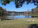 Lush green lawn overlooking calm lake with white birds and trees in background under sunny sky at 800 Lake Marion Dr, Altamonte Springs, FL 32701