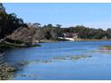 Scenic lake view with lily pads and home in the background, surrounded by lush trees under blue skies at 800 Lake Marion Dr, Altamonte Springs, FL 32701