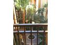 Lush tropical courtyard with palm trees and seating area at 12539 Floridays Resort Dr # 210D, Orlando, FL 32821