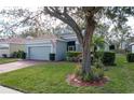 House exterior showcasing a large tree and well-maintained landscaping at 2311 Caledonian St, Clermont, FL 34711