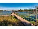 Wooden dock extending over calm lake waters with lily pads at 9229 Lake Hickory Nut Dr, Winter Garden, FL 34787