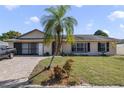 Charming single-story home featuring a well-manicured lawn, brick driveway, and mature palm tree in a sunny setting at 2537 Lanier Rd, Kissimmee, FL 34744