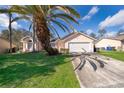 House exterior showcasing a palm tree and a spacious lawn at 2006 Key Lime St, Ocoee, FL 34761