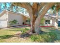 House exterior showcasing a large oak tree and well-maintained landscaping at 164 Morning Glory Dr, Lake Mary, FL 32746