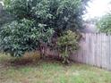View of a partially fenced backyard with two trees at 5633 Piney Ridge Dr, Orlando, FL 32808