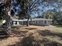 Ranch-style home with mature landscaping and spacious yard at 520 N Orange, Orange City, FL 32763