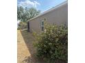 A view of the side of the home, showcasing the backyard area with lush green shrubs at 5610 Forest Ridge Dr, Winter Haven, FL 33881