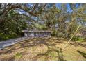 Quaint single-story home with a concrete driveway, set amid mature trees at 3115 Avenue U Nw, Winter Haven, FL 33881
