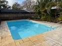 Relaxing blue rectangular pool with stone deck and surrounding trees at 3458 Balsam Dr, Winter Park, FL 32792