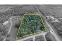 Aerial view outlining property boundaries on a wooded lot with a home and outbuildings at 1050 Bob White Trl, Chuluota, FL 32766