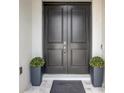 Elegant double front doors with potted plants on either side at 25974 High Hampton Cir, Sorrento, FL 32776