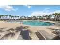 Large community pool with plenty of seating and palm tree accents under a blue sky at 330 Pheasant Dr, Haines City, FL 33844