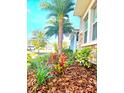 Vibrant landscaping with mulch and a mature palm tree at 4612 Terry Town Dr, Kissimmee, FL 34746