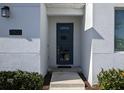 Close-up of the modern front door with sidelight windows, and a textured stucco exterior at 2800 Simile St, Kissimmee, FL 34746