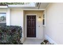 Close-up of the entryway and front door with a detailed light fixture and manicured hedges at 2811 Curry Woods Dr, Orlando, FL 32822