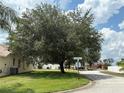 A lush, mature tree anchors the corner lot of this well-maintained neighborhood at 305 Grand Reserve Dr, Davenport, FL 33837