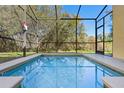 Screened-in pool offers a private oasis for relaxation and recreation with views of the lush backyard at 8961 Cuban Palm Rd, Kissimmee, FL 34747