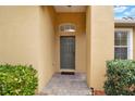 Inviting entryway showcasing a gray front door with a transom window and neat landscaping at 4036 Bougainvillea Pl, Kissimmee, FL 34746