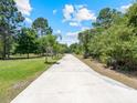 Long concrete driveway surrounded by green grass and tall trees, leading to a private home at 1303 Sultan Cir, Chuluota, FL 32766