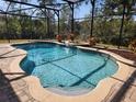 Inviting screened-in pool featuring a waterfall feature and lush landscaping for privacy at 602 Lochsmere Ln, Orlando, FL 32828