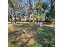 Spacious lot with mature trees offers privacy at 723 Jeffcoat St, Apopka, FL 32703