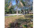 Spacious lot with mature trees and a pool at 723 Jeffcoat St, Apopka, FL 32703