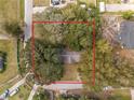 An aerial view showcases the property with mature trees providing ample shade at 1221 Forest Cir, Altamonte Springs, FL 32714